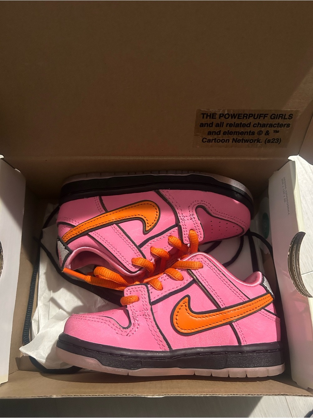 Nike SB TD
